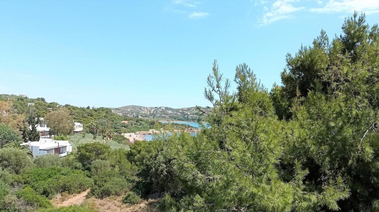 Dea Del Mare Complex In Front Of The Sea. Vila Sounion Exterior foto